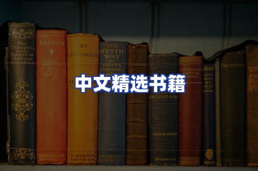 中文精选书籍